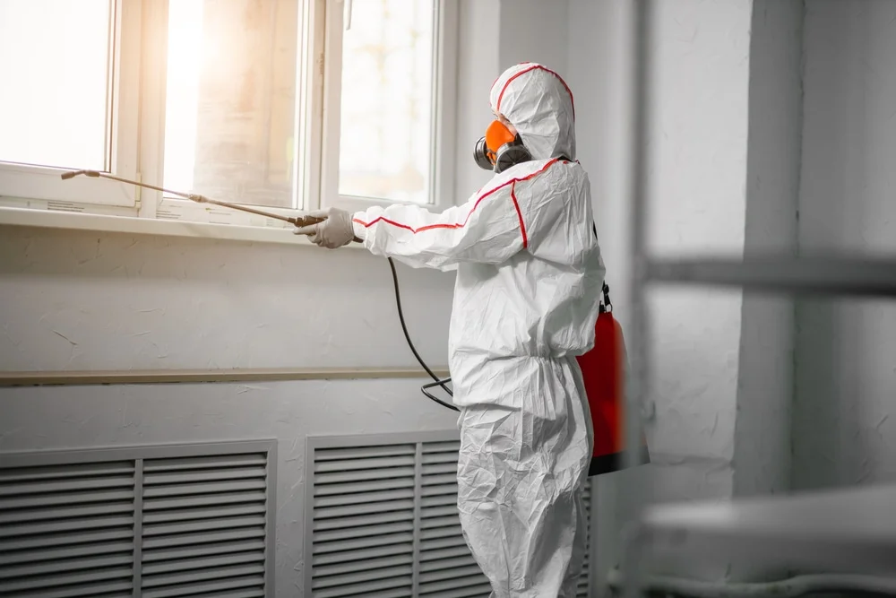 Professional mold remediation services in Pepperell, MA